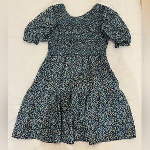 Wild Fable Blue Floral Mini Dress